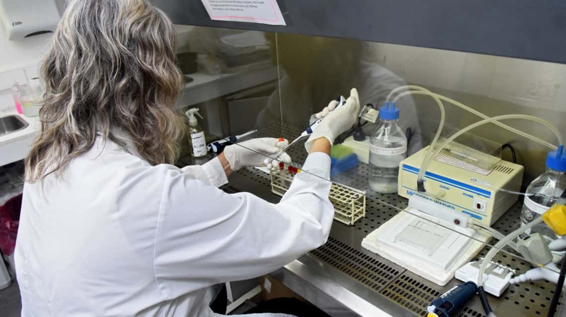 La Encefalitis Equina del Oeste se podrá detectar en laboratorios públicos de la provincia